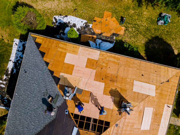 Best Local Roofing Companies  in Nescopeck, PA