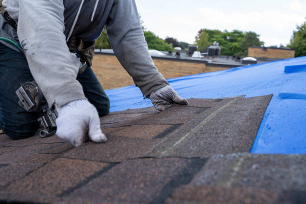 Quick and Trustworthy Emergency Roof Repair Services in Nescopeck, PA