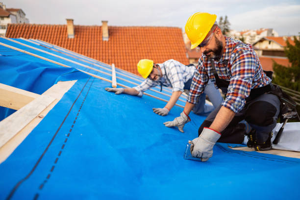 Best Roof Maintenance Services  in Nescopeck, PA
