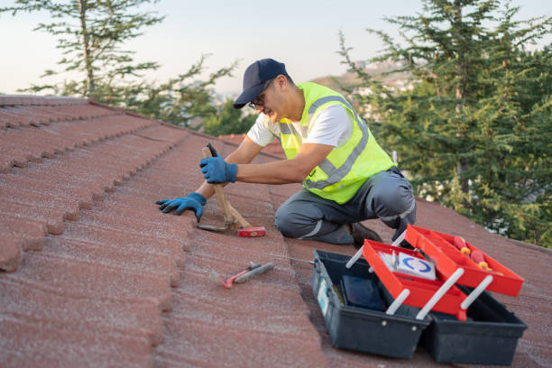 Best Shingle Roofing Installation  in Nescopeck, PA